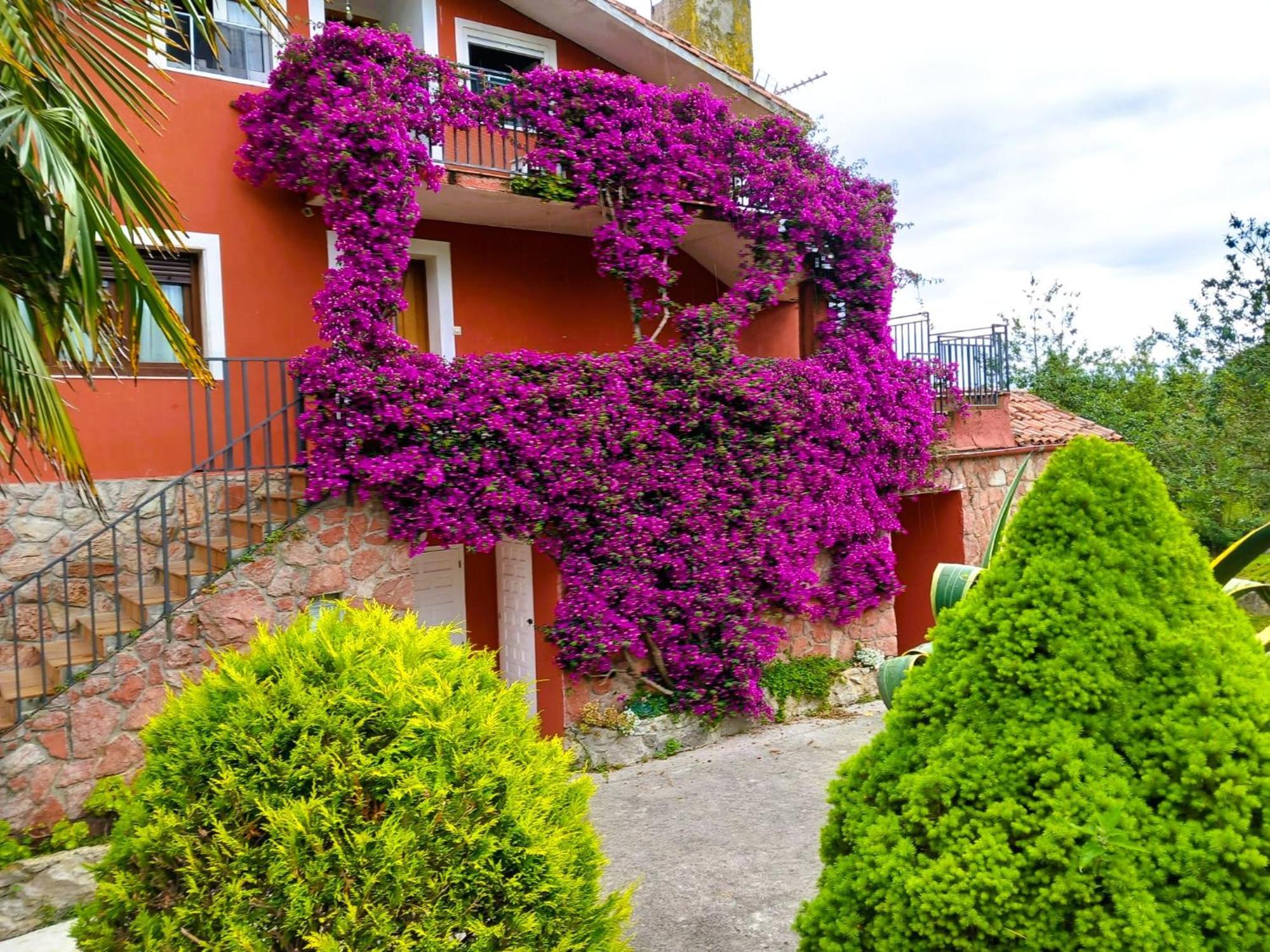 Apartamentos Mariaje Barro  Kültér fotó