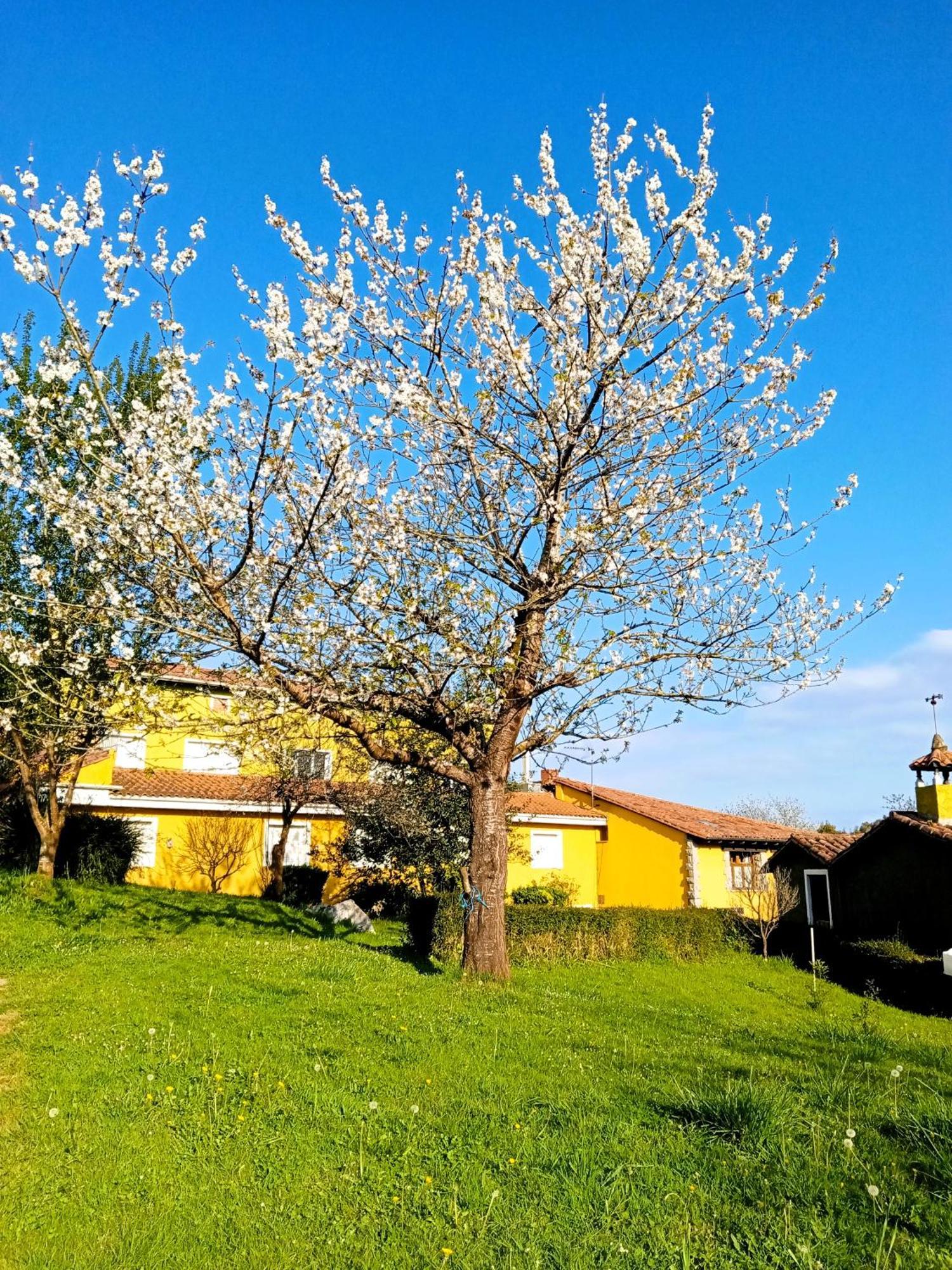 Apartamentos Mariaje Barro  Kültér fotó